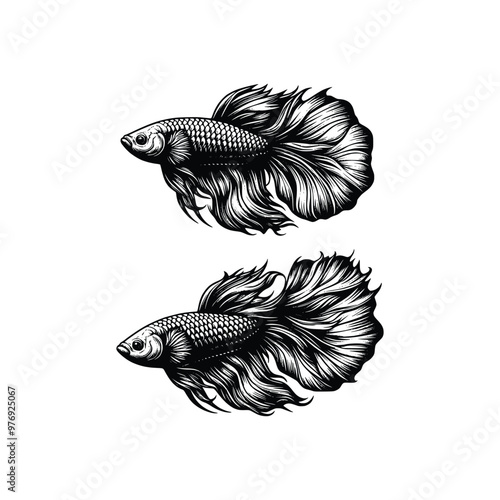 Set of Hand-Drawn Betta Fish Illustrations in Black and White Outline