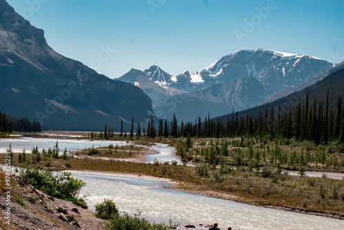 mountains and trees in a canadian national park