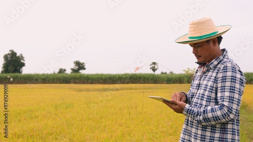 A male farmer is monitoring the growth of his rice plants, recording the results on a tablet, and implementing smart farming concepts.