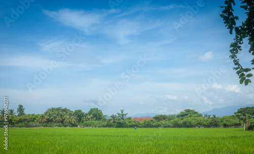 farmland countryside Thailand view Beautiful clouds