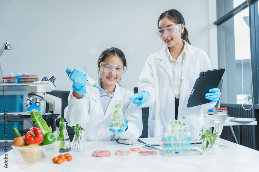 Two Asian women in a lab work on food research, using a microscope, petri dish, and test tubes filled with chemical solutions. They study vegetables, pork, and plants for GMO traits and nutrition. Two Asian women in a lab work on food research, using a microscope, petri dish, and test tubes filled with chemical solutions. They study vegetables, pork, and plants for GMO traits and nutrition.