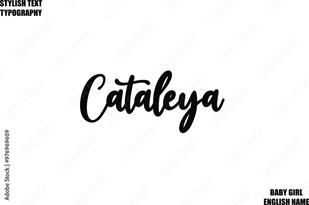 Cataleya Female Name - in Stylish Cursive Typography Text Cataleya Female Name - in Stylish Cursive Typography Text