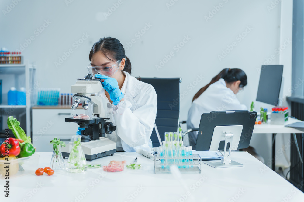 Fototapeta premium Two Asian women in a lab work on food research, using a microscope, petri dish, and test tubes filled with chemical solutions. They study vegetables, pork, and plants for GMO traits and nutrition.