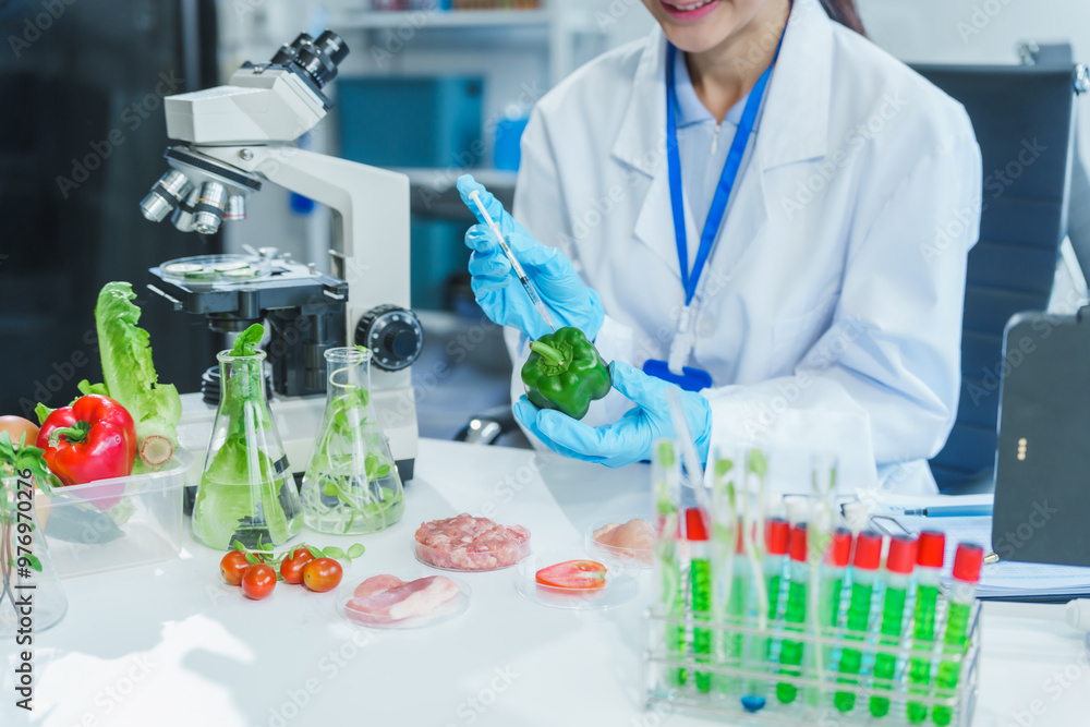 Fototapeta premium Two Asian women in a lab work on food research, using a microscope, petri dish, and test tubes filled with chemical solutions. They study vegetables, pork, and plants for GMO traits and nutrition.