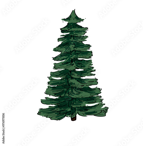 winter pine tree icon isolated on white background photo