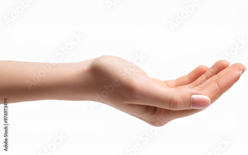 hands holding something isolated on white background