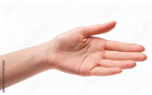 hand isolated on white background