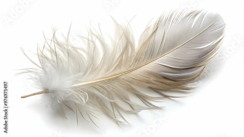 Beautiful fluffy white feather on white background with copy space for design, in pastel beige and white colors, feather