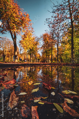 Photography autumn in the prater park in vienna
