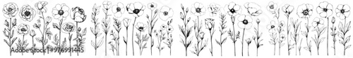 Set of hand drawn black and white bellflower, edelweiss, globethistle, globeflower, meadow geranium, gentiana.