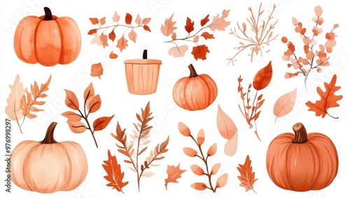 In this watercolor illustration, an orange and white pumpkin is surrounded by leaves on an isolated white background. An autumn set of elements on an isolated white background, is also illustrated by photo