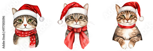 Cute cats wearing festive Christmas hats and scarves, perfect for holiday decorations and seasonal designs. Isolated on Transparent Background