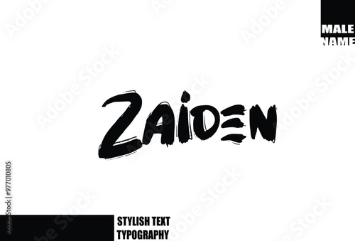 Zaiden Baby Boy Name In Bold Grunge And Rough Brush Text Typography