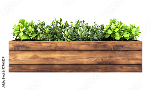 Wooden planter box with plants, on transparent background