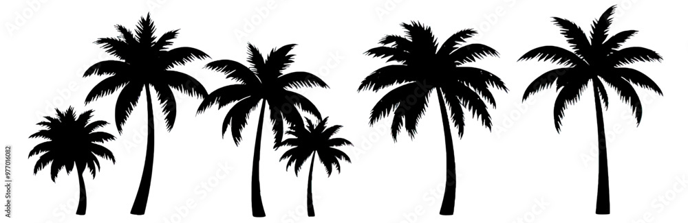 silhouette of palm tree silhouette of palm tree