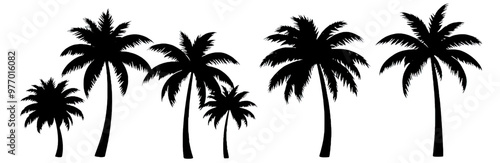 silhouette of palm tree