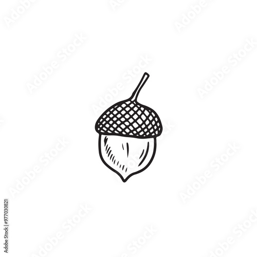 Realistic acorn drawing with cap in black isolated on white background. Hand drawn vector sketch illustration in doodle engraved vintage line art style. Autumn symbol, floral, oak tree