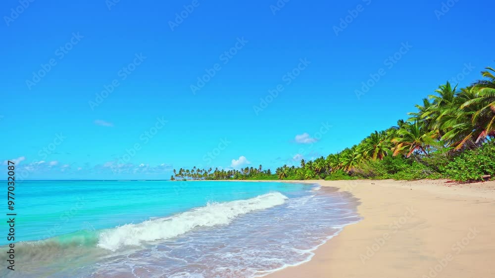 Beautiful view of the beach line with tall palm trees and the ocean. Blue wave on yellow sand on a summer day. Bright tropical summer sun and clear blue sky above the sea. Wide format video. Beautiful view of the beach line with tall palm trees and the ocean. Blue wave on yellow sand on a summer day. Bright tropical summer sun and clear blue sky above the sea. Wide format video.