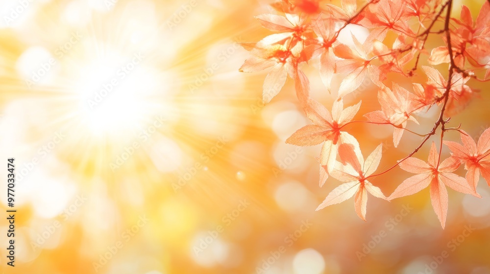 Sunlight Through Soft Pink Petals, Spring Background, Nature In Bloom, Pink Flowers Banner Sunlight Through Soft Pink Petals, Spring Background, Nature In Bloom, Pink Flowers Banner