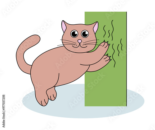 Problem with cat behavior. Kitten scratches wall. Cute hand drawn flat illustration.