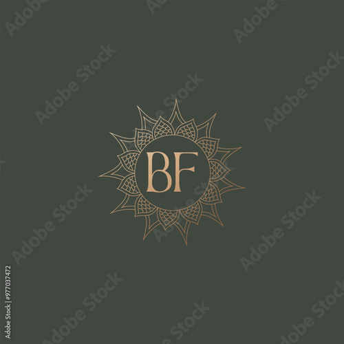 BF logo design vector image photo