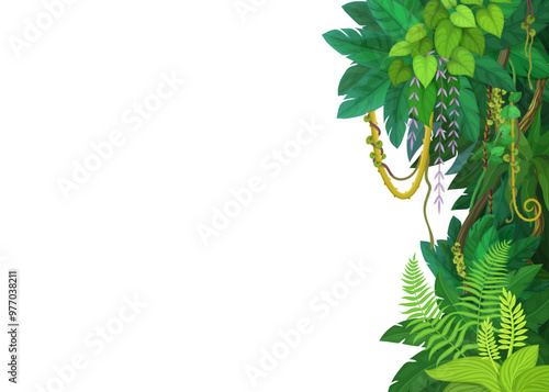 Tropical jungle forest lianas and vines background, vector frame of monstera leaves. Tropical rainforest creeper plants or jungle liana and bindweed tree with climbing tendrils on blank background