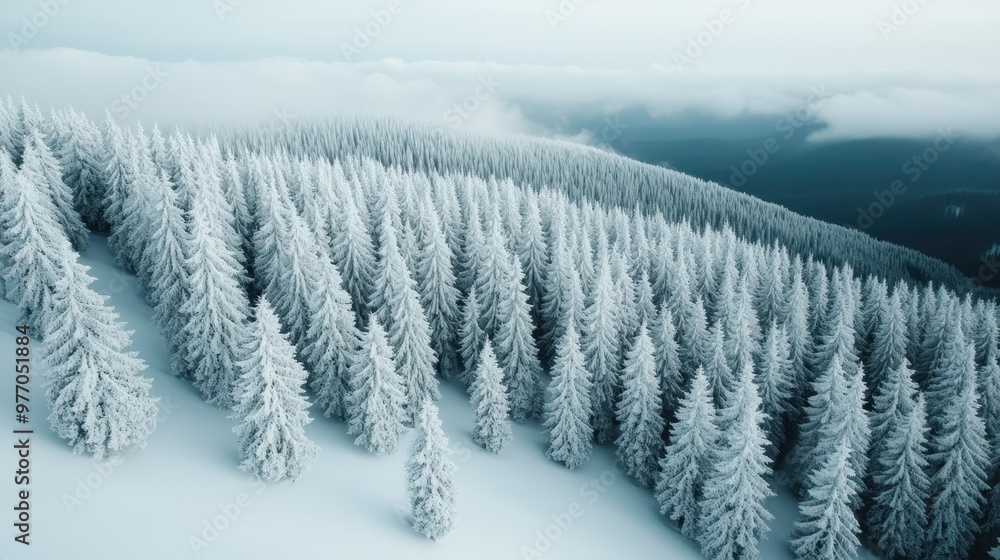A dense snow-covered forest on a hillside stretches into the distance under a foggy sky, creating a serene and mystical winter landscape filled with white tranquility. A dense snow-covered forest on a hillside stretches into the distance under a foggy sky, creating a serene and mystical winter landscape filled with white tranquility.