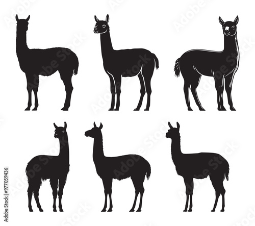 llama cartoon illustration vector design, Stylish llama silhouette set for creative artistic purposes, Llama illustration, minimalist llama vector