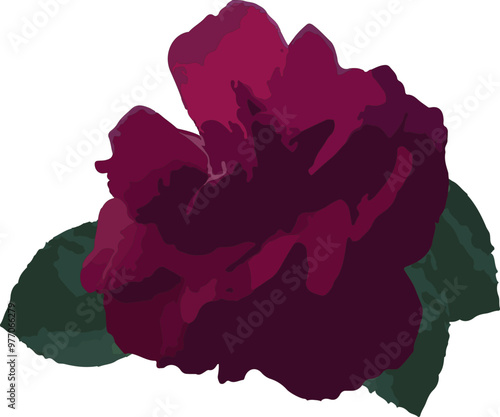Rose, illustration, logo, flower, vector