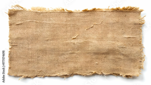 Natural fiber fabric with a rough texture and earthy tone, suitable for DIY and home decor.
Raw burlap material with frayed edges, showcasing photo