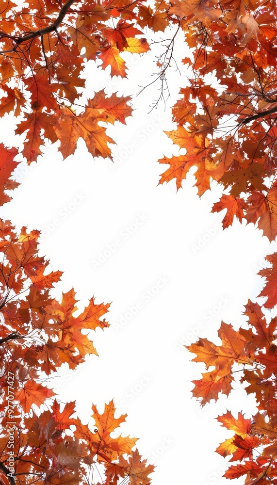 Autumn, Fall Leaves Frame, Vibrant Orange Maple Foliage, Nature Background, Season Change Autumn, Fall Leaves Frame, Vibrant Orange Maple Foliage, Nature Background, Season Change