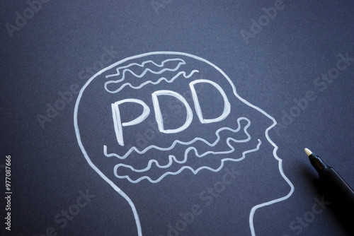 Drawn outline of a head and the abbreviation PDD Persistent Depressive Disorder.