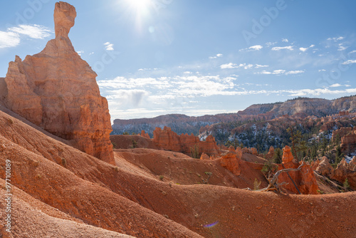 A beautiful view of Hoodoos with greenery and red rocks in Bryce Canyon, Utah. photo