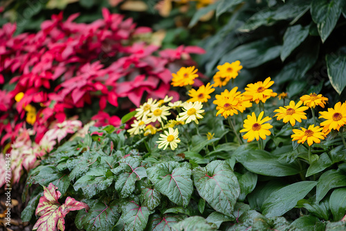 flower and foliage combination showcasing yellow, red, and green plants in a garden setting