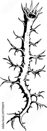 Intricate Blackthorn with Spiky Branches Vector Art