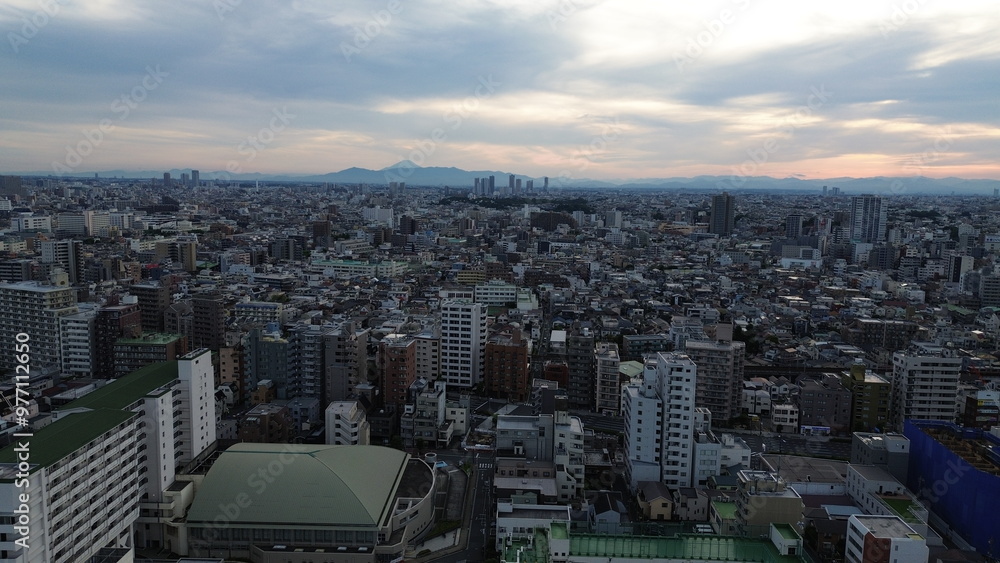 Fototapeta premium Drone view of Tokyo , Japan