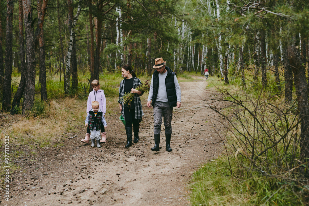 Fototapeta premium Happy family on a walk in the forest picking berries and herbs, traveling along paths and stones mom dad and children