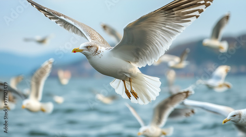 A flock of seagulls flying over the water, with a large seagull in the foreground soaring with open wings, and other birds and a coastline visible in the background