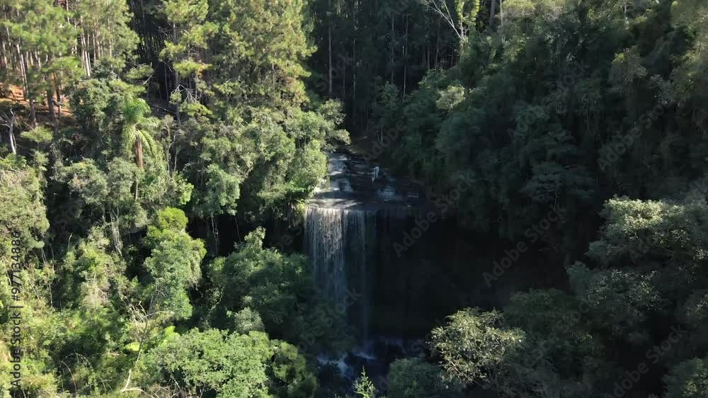 Dense Trees In The Forest With Waterfalls And Freshwater Stream In Summer. - aerial shot Dense Trees In The Forest With Waterfalls And Freshwater Stream In Summer. - aerial shot
