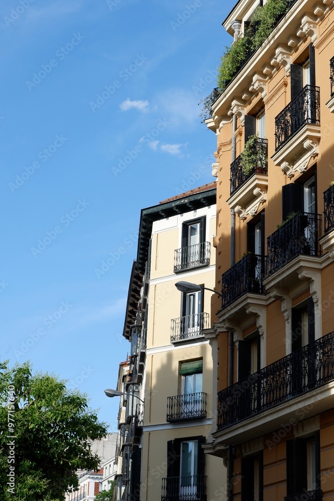 Fototapeta premium Corners of classical Spanish buildings of beige and brown colours seen through vivid greenery in the center of Madrid, Spain. Vertical photo