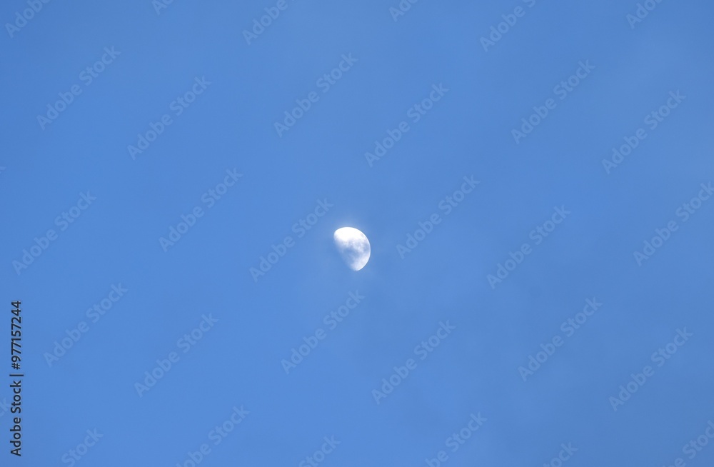 half moon floating from rain cloud on sky in twilight background half moon floating from rain cloud on sky in twilight background