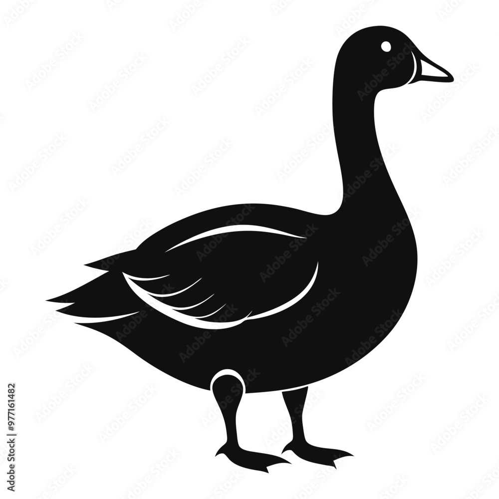 goose isolated on white background goose isolated on white background
