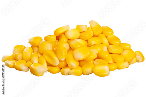 Close Up To a Pile of Yellow corn seeds PNG uncooked corn kernels isolated on white and transparent background - Corn seeds and Maize farming Concept