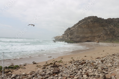 Damar Beach in Oman with a mountain view of the beach photo