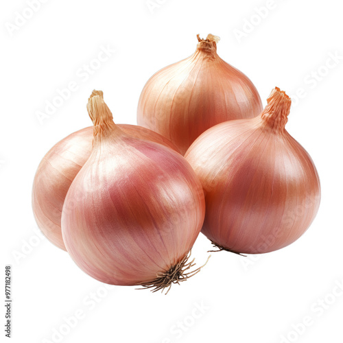 Wallpaper Mural PNG Onions isolated on transparent background, cut out Torontodigital.ca