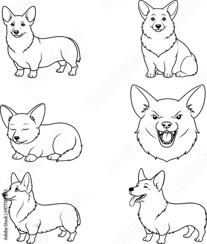 A corgi dog in different positions. Vector set of animal sketches in line art style on transparent background