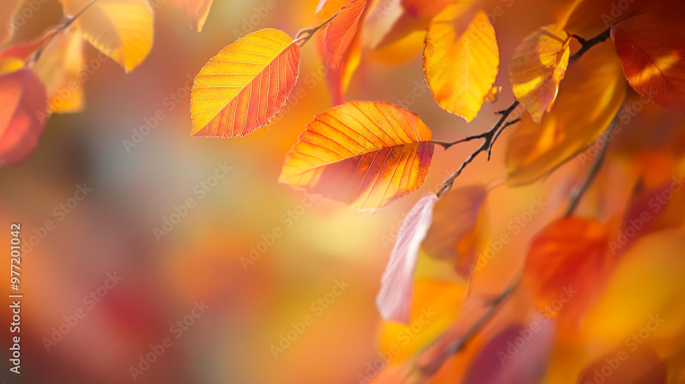 Vibrant autumn leaves in hues of orange and yellow against a soft blurred background Vibrant autumn leaves in hues of orange and yellow against a soft blurred background