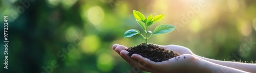 A close-up of a healthy green plant being held gently in a hand, symbolizing growth and environmental care.