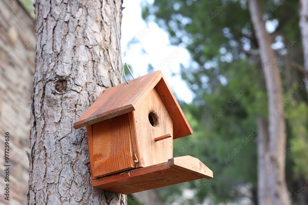 Beautiful wooden birdhouse hanging on tree trunk in park Beautiful wooden birdhouse hanging on tree trunk in park