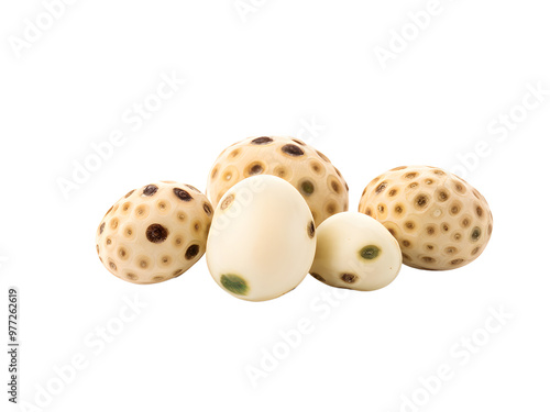 Makhana Isolate on transparent Background with Copy Space, Also Known as Lotus Seed Pop, Euryale Ferox or Gorgon Nut photo